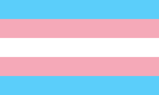 Transgender-Pride-Flagge