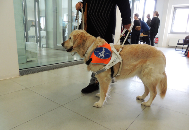 Eine Teilnehmerin in Dresden mit ihrem Assistenzhund